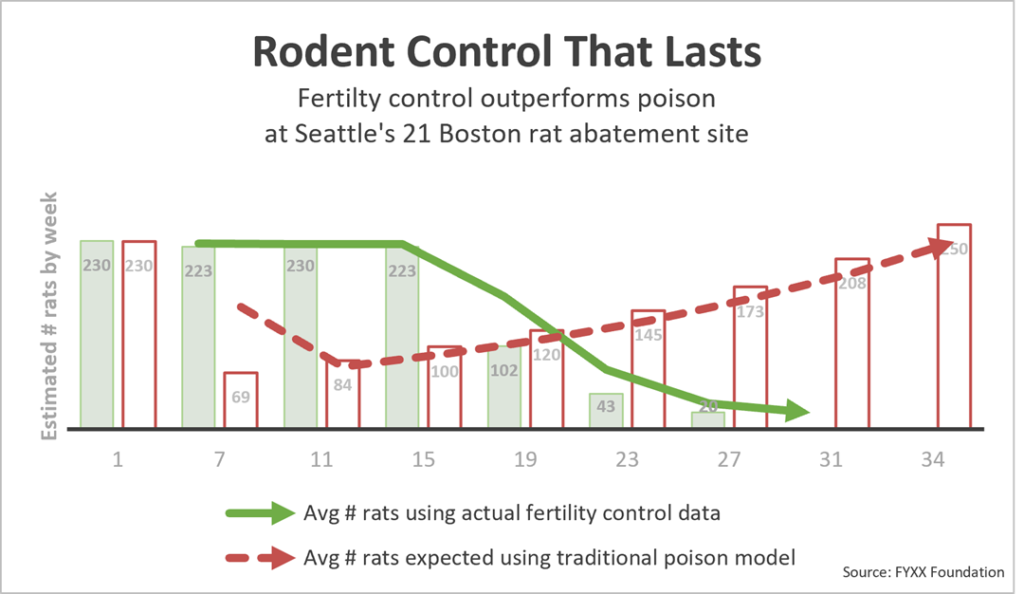 Chart of estimated rats per week over about 34 weeks. With fertility control, the average rat count falls from 230 to about 20. Under the traditional poison model, counts dip early, then climb back to about 250.